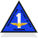 Training Air Wing One patch