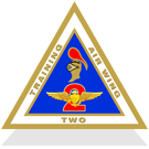 Training Air Wing Two patch